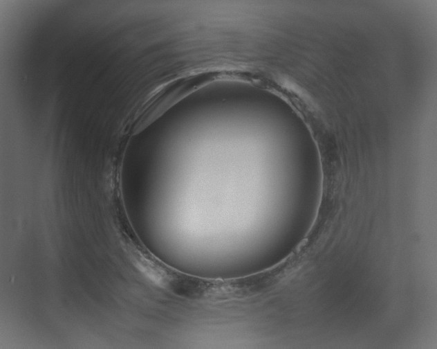 X0000075331169200609081050