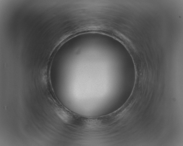X0000075331170200609081050