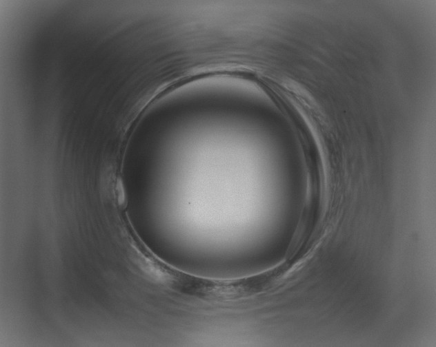 X0000075331177200609081050