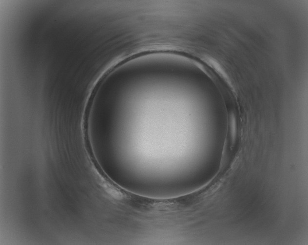 X0000075331181200609081050