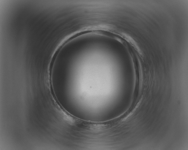 X0000075331184200609081050