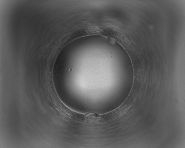 X0000075331201200609081049