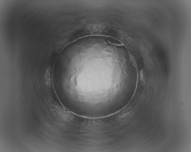 X0000075331203200609081049