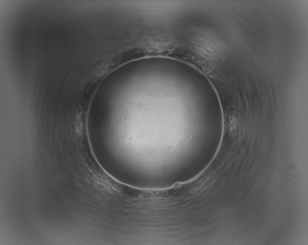 X0000075331204200609081049