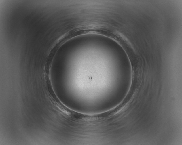 X0000075331210200609081049