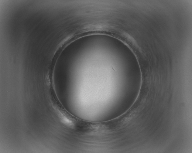 X0000075331218200609081049