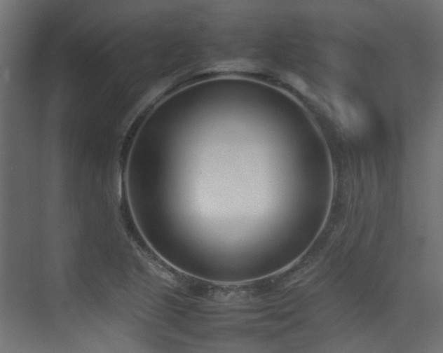 X0000075331221200609081049