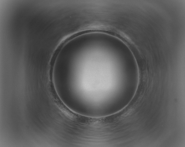 X0000075331222200609081049