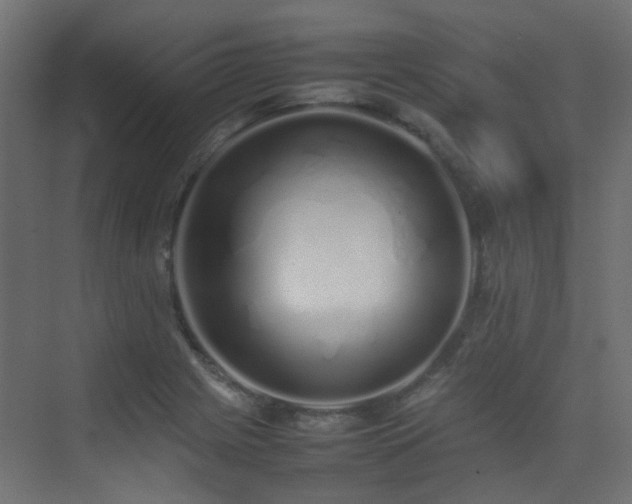 X0000075331225200609081049