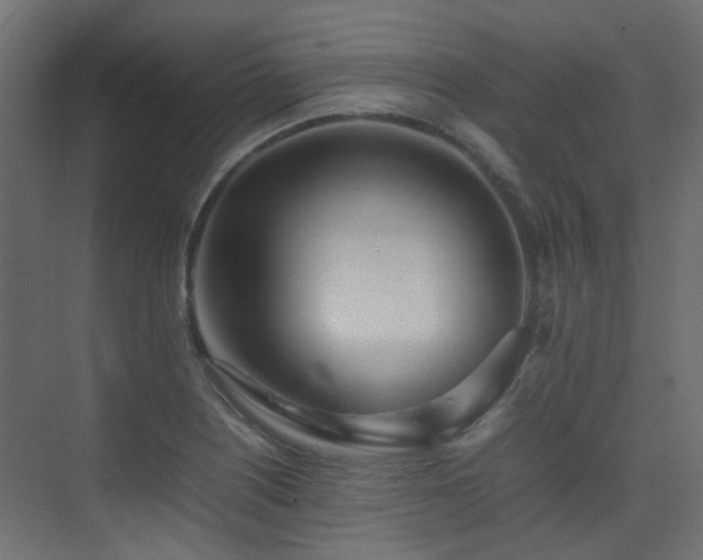X0000075331226200609081049