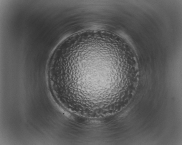 X0000075331235200609081049