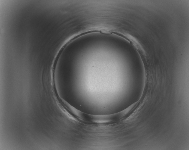 X0000075331238200609081049