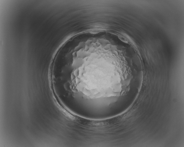 X0000075331243200609081049