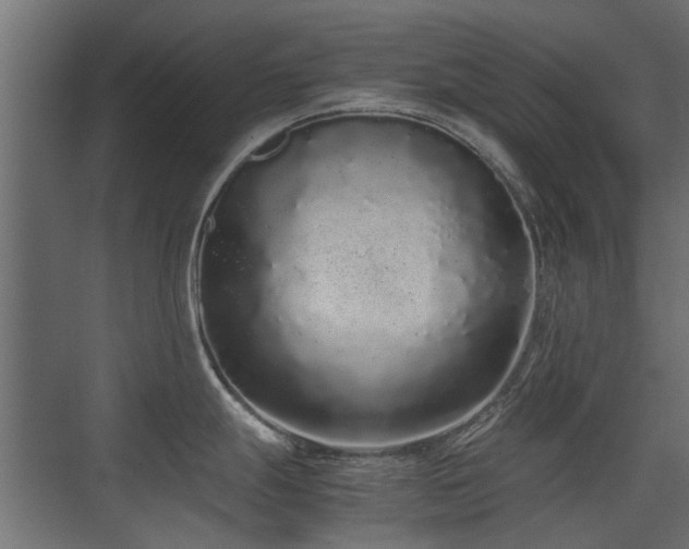 X0000075331247200609081049