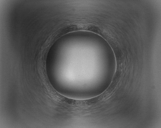 X0000075331249200609081048