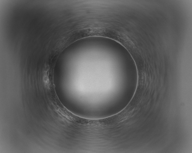 X0000075331250200609081048
