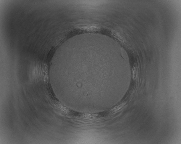 X0000075331251200609081048