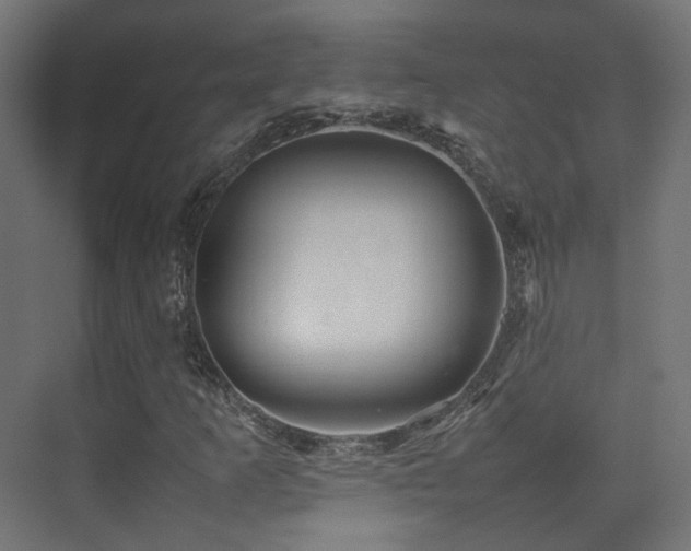 X0000075331253200609081048