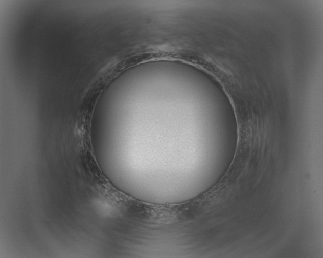 X0000075331254200609081048