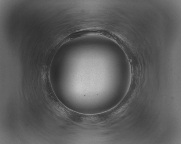 X0000075331257200609081048