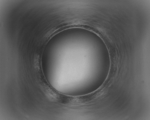 X0000075331265200609081048