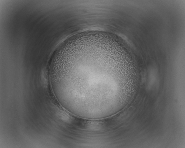 X0000075331266200609081048