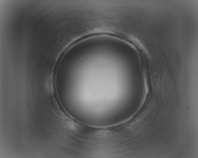X0000075331268200609081048