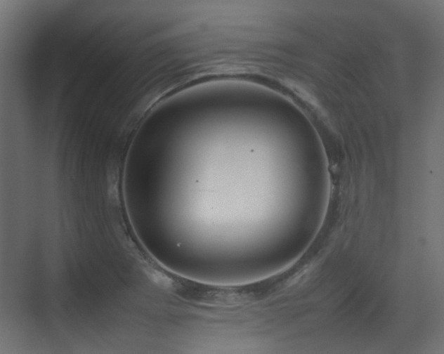 X0000075331273200609081048