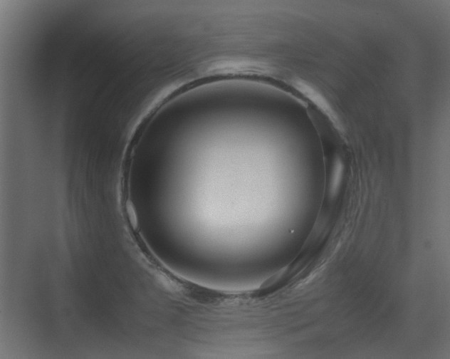 X0000075331277200609081048