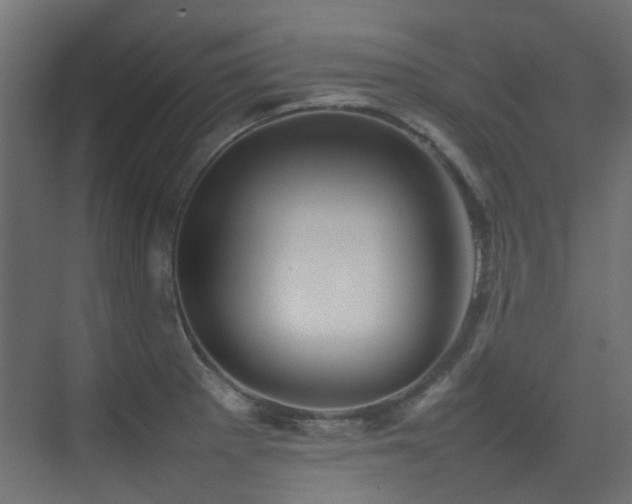 X0000075331281200609081048