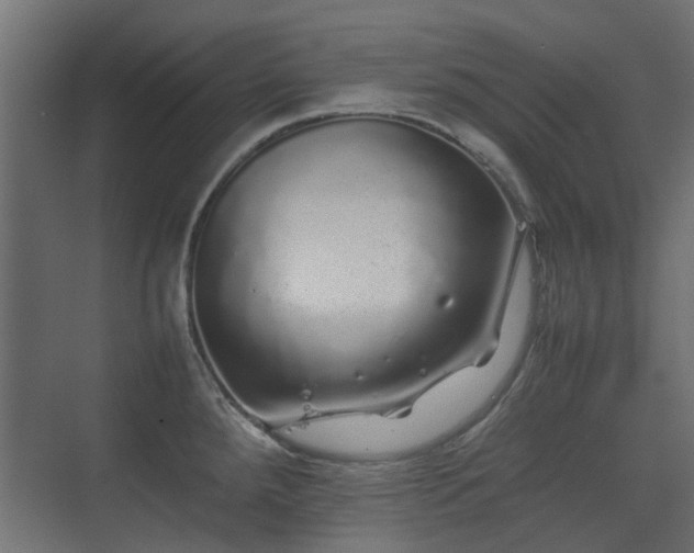 X0000075331288200609081048