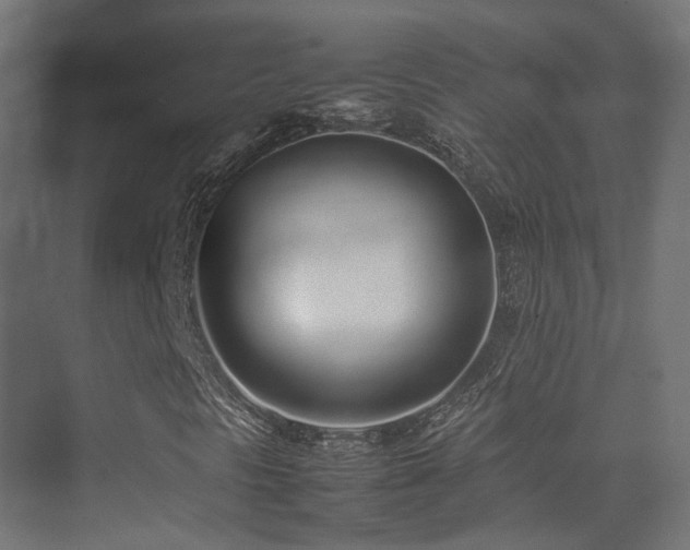 X0000075331297200609081047