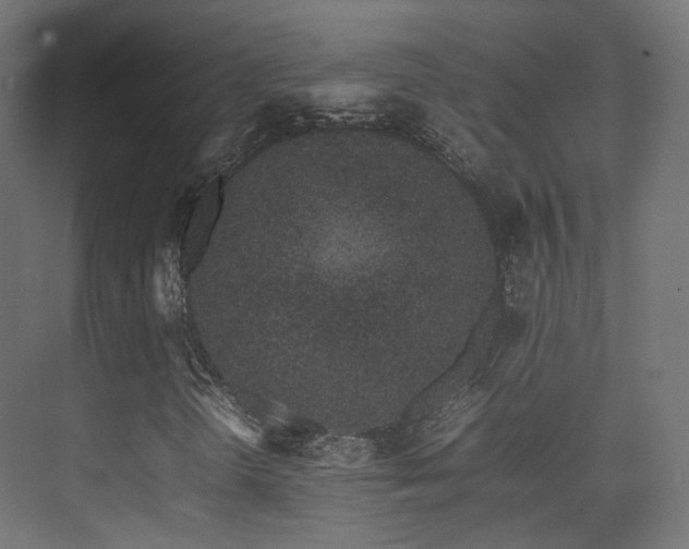 X0000075331298200609081047