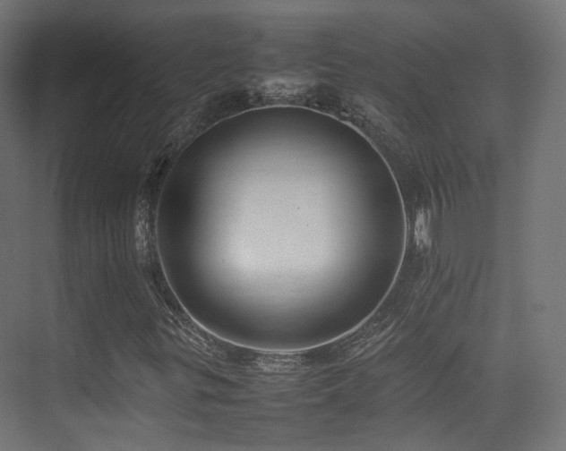 X0000075331299200609081047