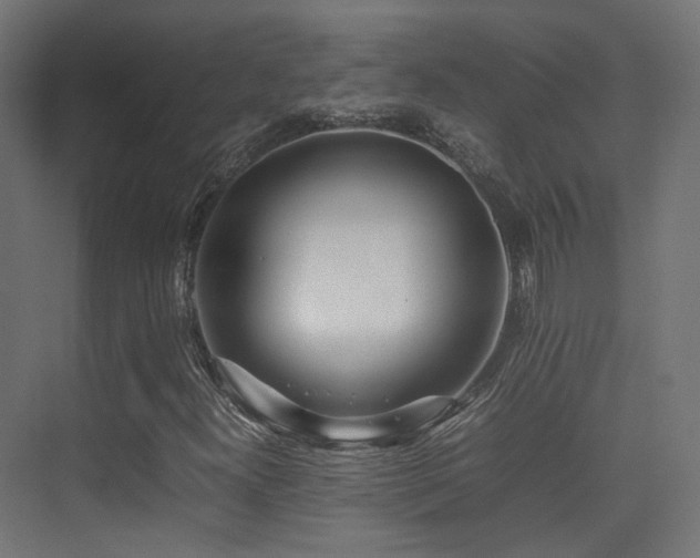 X0000075331300200609081047