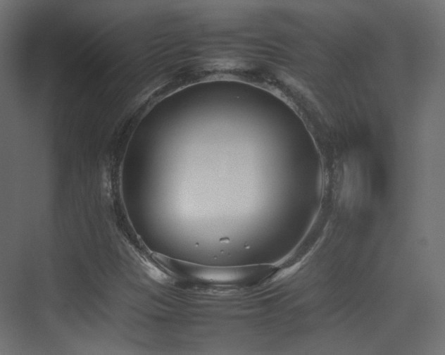 X0000075331305200609081047