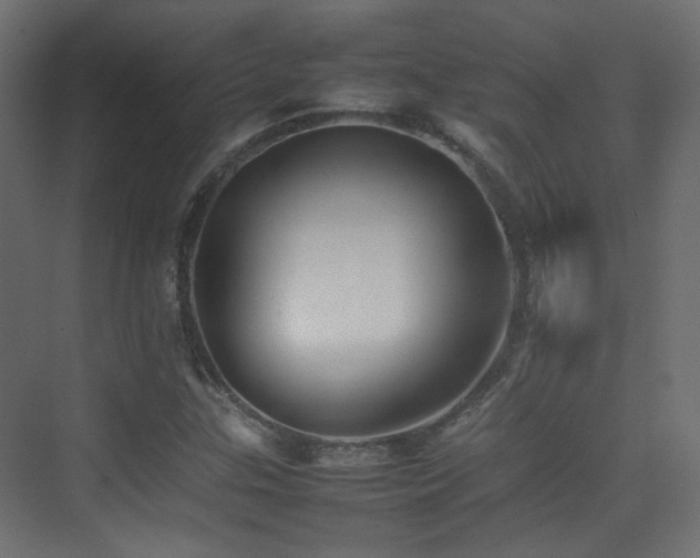 X0000075331307200609081047