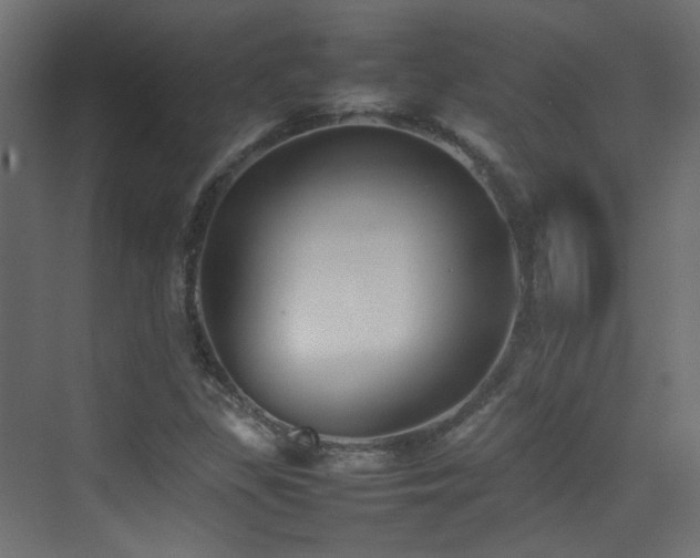 X0000075331309200609081047