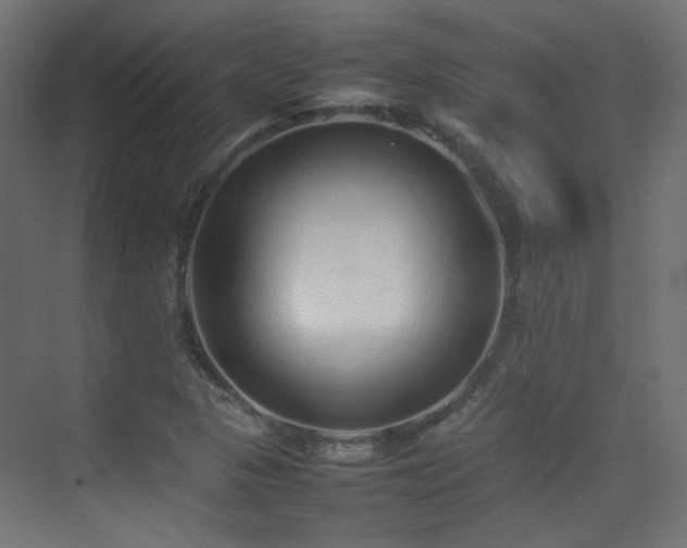 X0000075331313200609081047