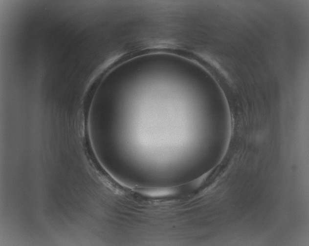 X0000075331317200609081047