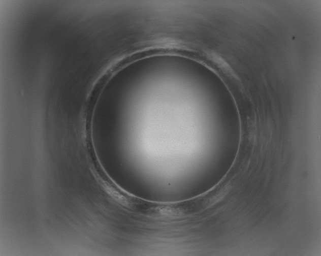 X0000075331318200609081047