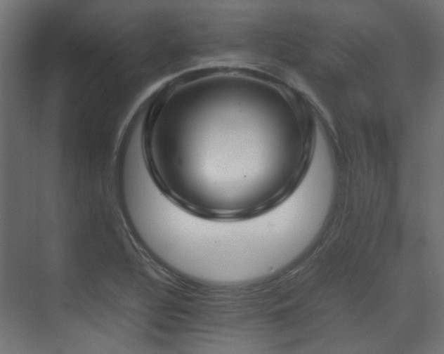 X0000075331320200609081047