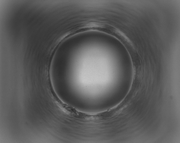 X0000075331321200609081047