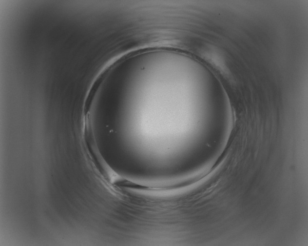 X0000075331324200609081047