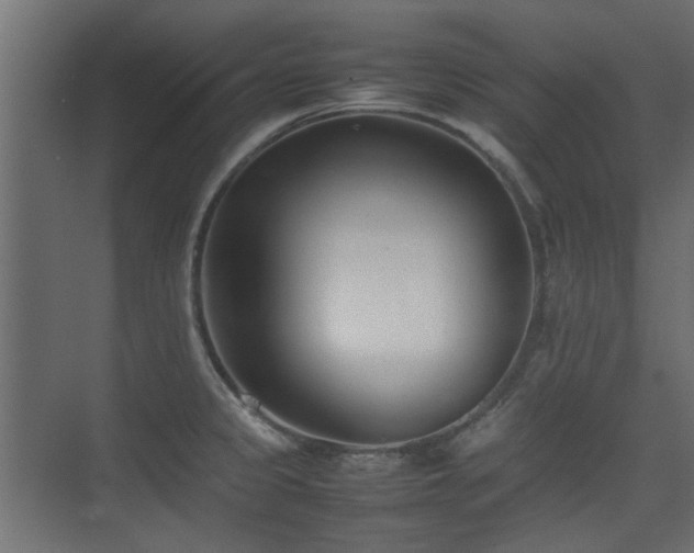 X0000075331333200609081048