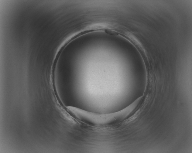 X0000075331336200609081048