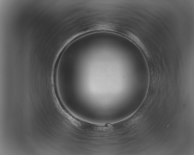 X0000075331339200609081048