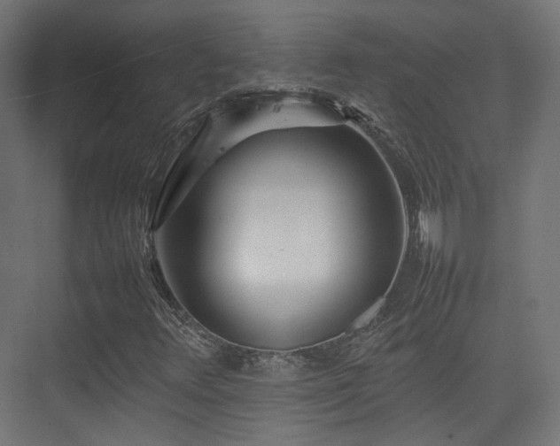 X0000075331348200609081047