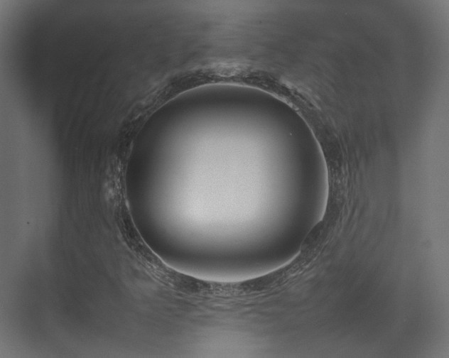X0000075331349200609081047