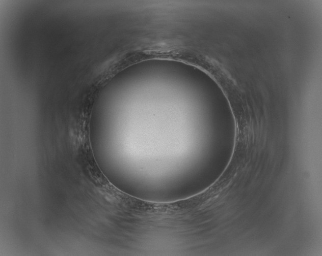 X0000075331350200609081047